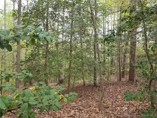 127 Deal, Williamsburg, VA 23188