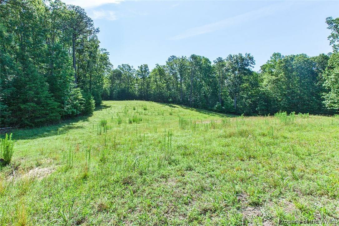 Barhamsville, VA 23011,4051 Bock RD