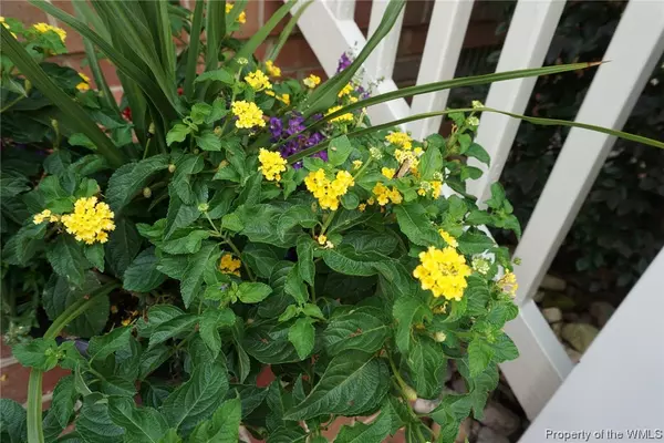 Yorktown, VA 23693,108 Combs LOOP #1