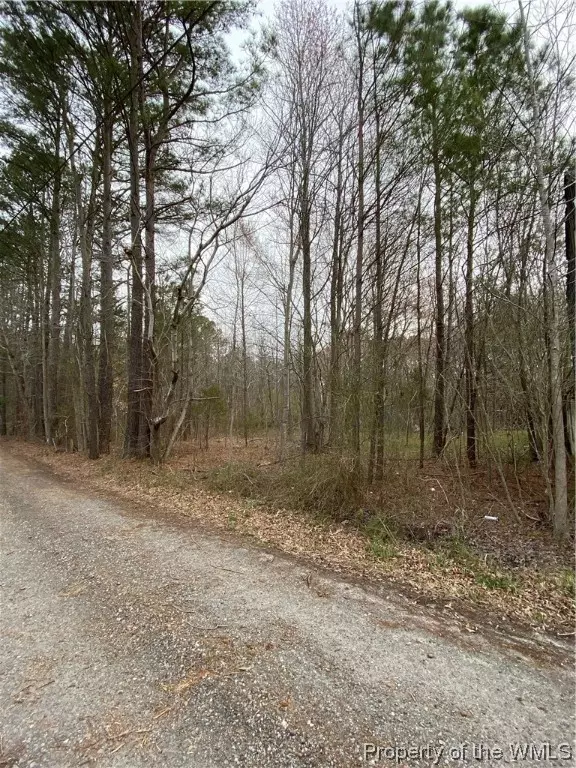 Shacklefords, VA 23156,164 Summer LN