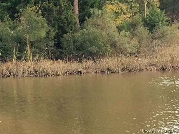 Williamsburg, VA 23185,1090 S Henry ST