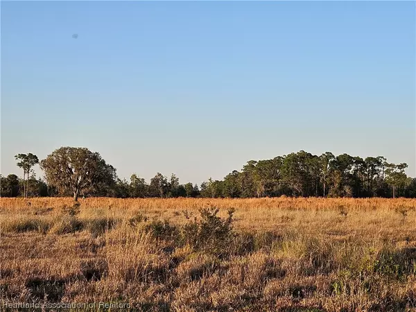 Venus, FL 33960,1000 Platt Creek RD