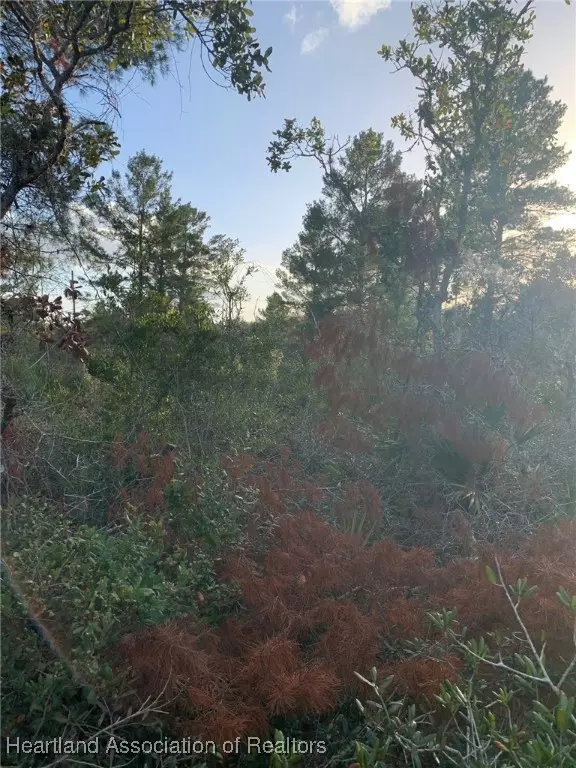 Avon Park, FL 33825,2851 W Seville DR