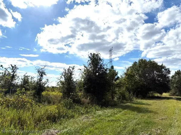 Avon Park, FL 33825,3313 W Jurgenson RD