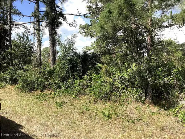 Lake Placid, FL 33852,235 Otter AVE NW