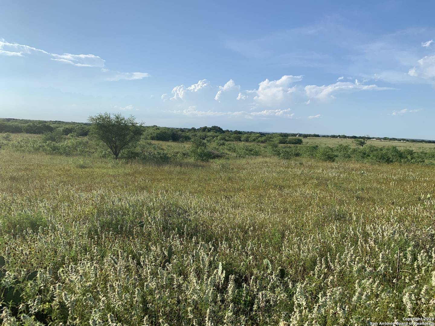 Floresville, TX 78114-4918,13.80 ACRE 2444 COUNTY ROAD 132