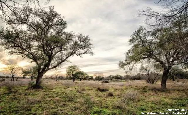 Bigfoot, TX 78005,1890 County Road 2863