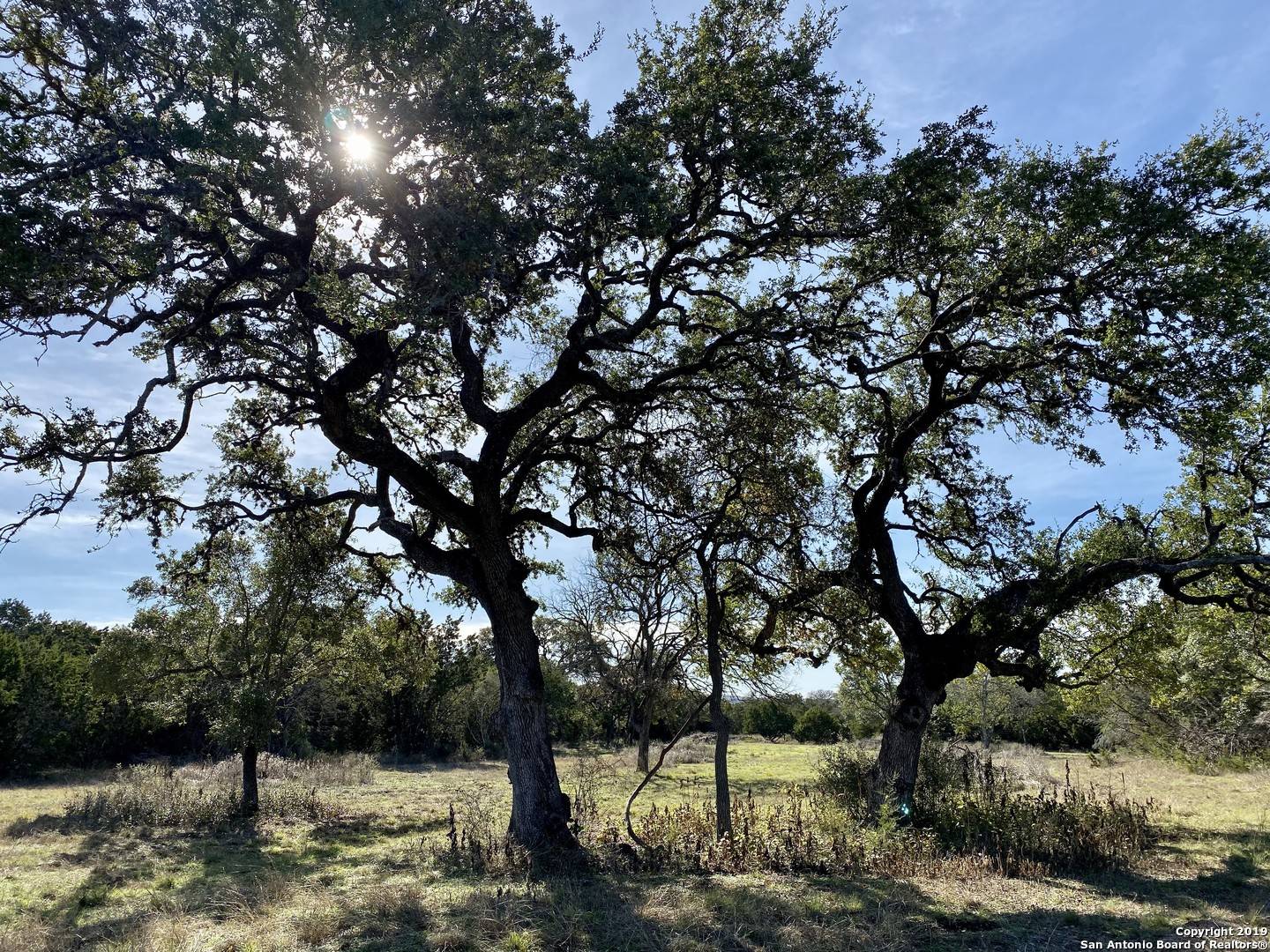 Bulverde, TX 78163-5023,31006 Windmill Lane