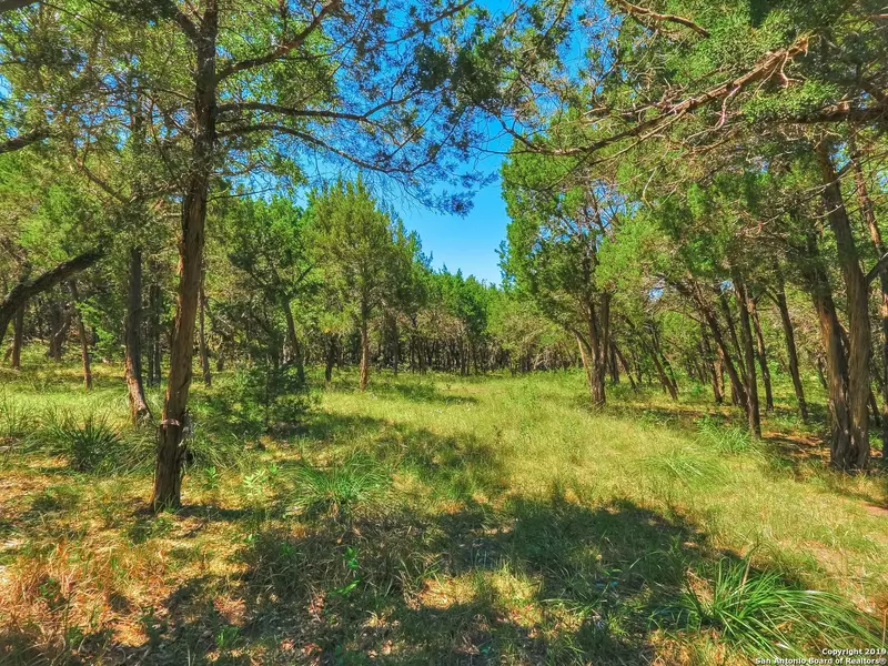 24907 Miranda Ridge, Boerne, TX 78006