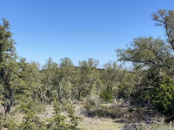 Spring Branch, TX 78070,582 ROCK TRAIL PL