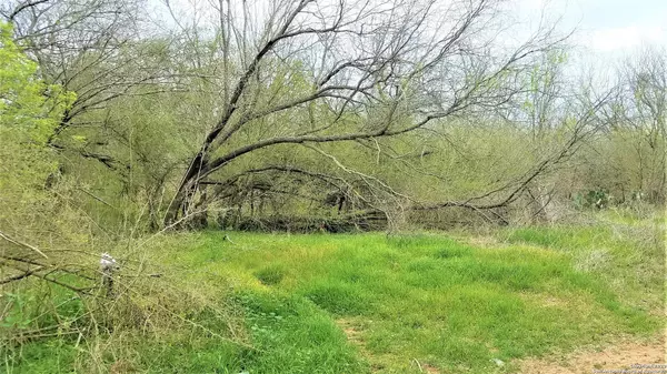 Atascosa, TX 78002-4964,13715 BRADLEY RD