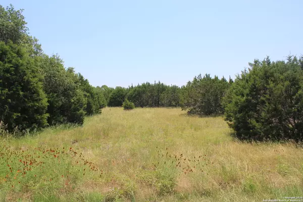 Fischer, TX 78623,314 Lets Roll Dr