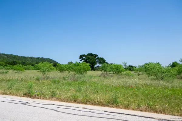 Burnet, TX 78611,117 wranglers way