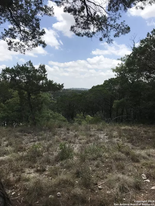 Boerne, TX 78006,25015 Caliza Cove