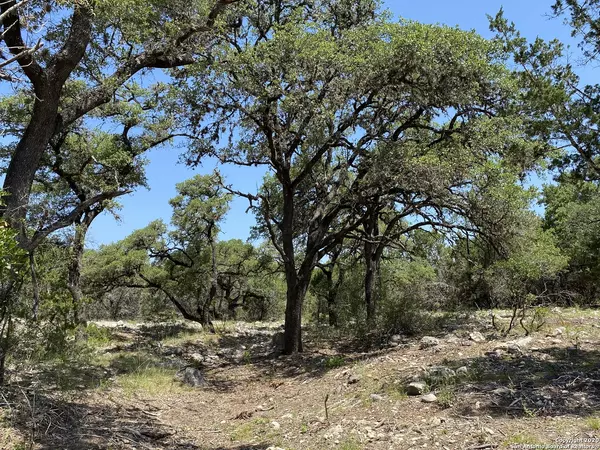Leakey, TX 78873,278 Cattail Rd