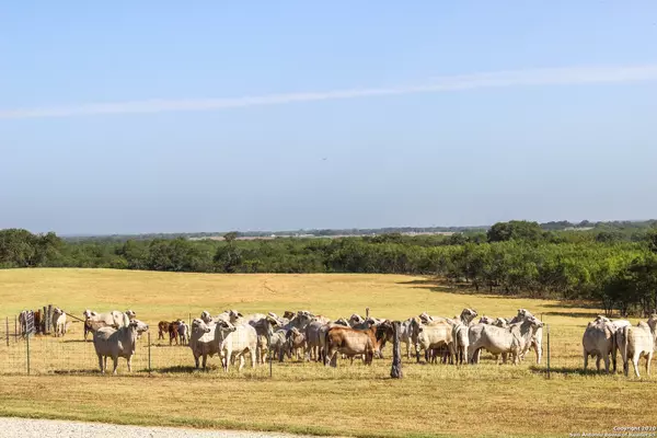 Floresville, TX 78114-3412,9285 County Road 401