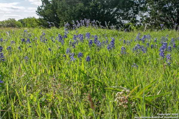 Burnet, TX 78611,LOT 3 Rolling Hills Dr