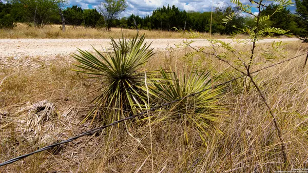 Tarpley, TX 78883-6306,10965 FM 470