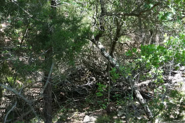 Lakehills, TX 78063,0 32ND ST