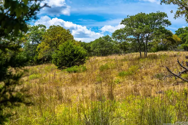 Fredericksburg, TX 78624,0 Hartmann Ranch Way