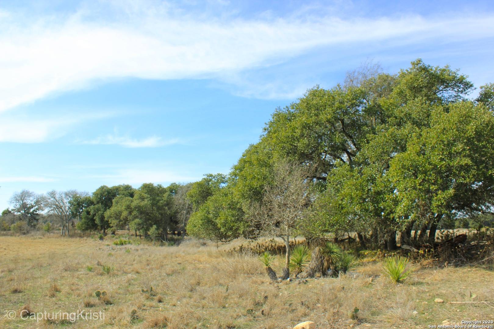 795 Lipan Apache, Blanco, TX 78606