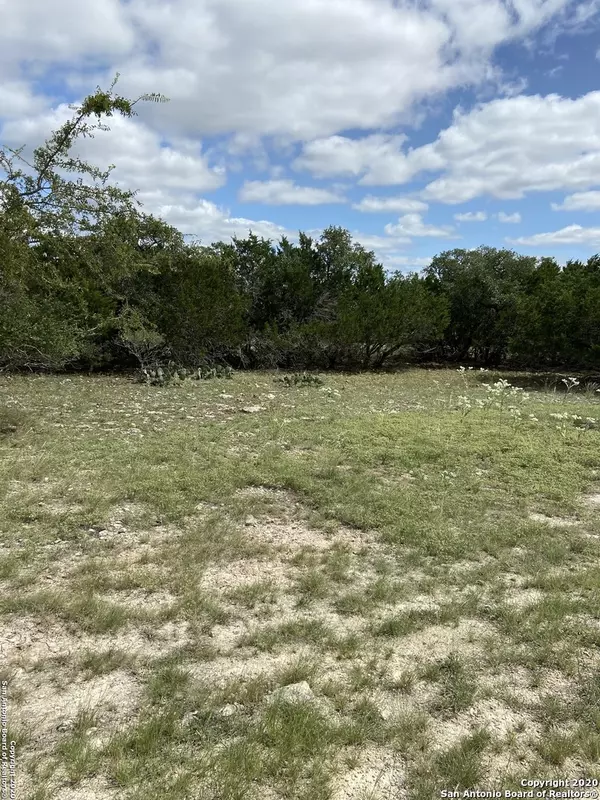 Bandera, TX 78003,LOT 31 PR 1510