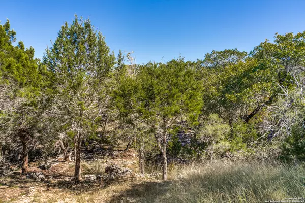 Boerne, TX 78006,LOT 28 FM 3351