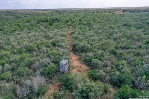 Benavides, TX 78349,000 CR 246