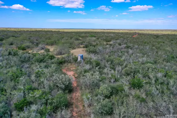 Benavides, TX 78349,000 CR 246