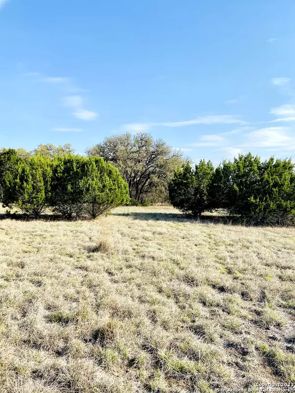 Pipe Creek, TX 78063,LOT 3 FM 1283