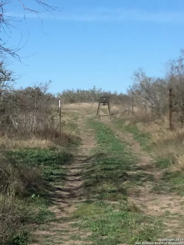 Devine, TX 78016-4476,779 COUNTY ROAD 652