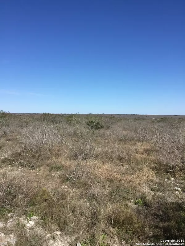 Devine, TX 78016-4476,779 COUNTY ROAD 652