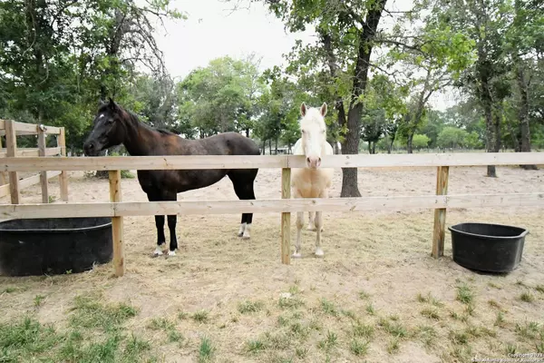 Natalia, TX 78059-2503,1296 COUNTY ROAD 6723