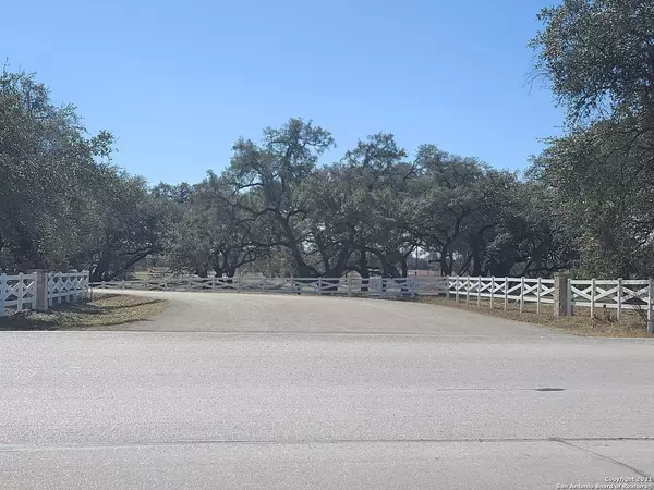 Natalia, TX 78059,166 Palomino Trail