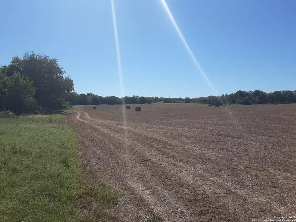 Falls City, TX 78113,TBD TRACT 3&4 Cr 212