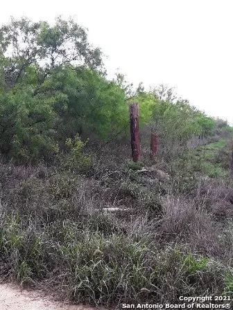 Crystal City, TX 78839,#12 Laguna Pasture