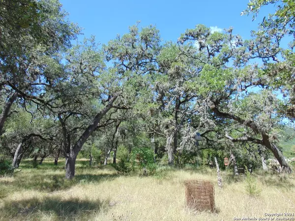 Leakey, TX 78873,0 Red Oak