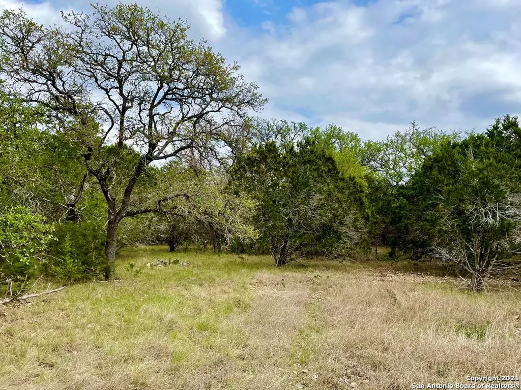 Leakey, TX 78873,918 RIM ROCK ROAD