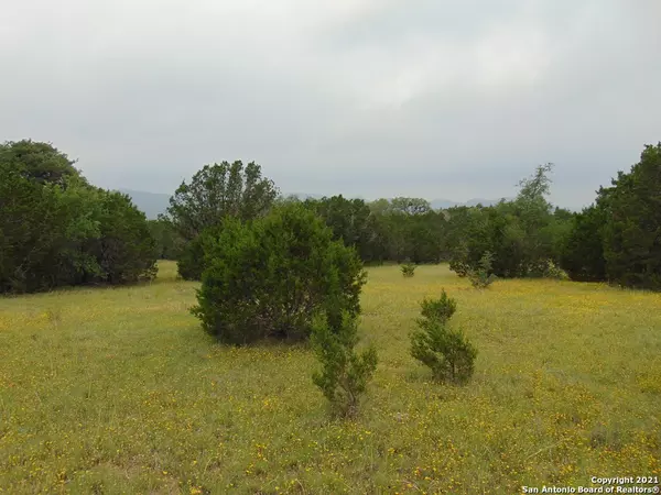 Rio Frio, TX 78879,430 RR 2748