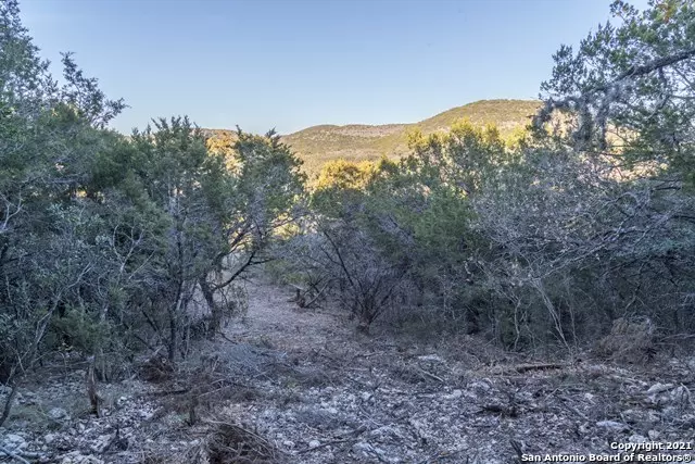 Concan, TX 78838,24569 US HWY 83 N