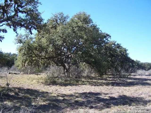 203 R-N-R Ranch Rd., Rio Frio, TX 78879