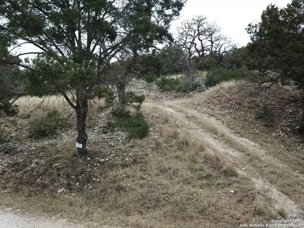 25 Roaring Springs, Camp Wood, TX 78833