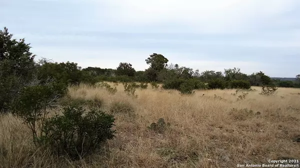 Camp Wood, TX 78833,351 N. Ringtail Rd