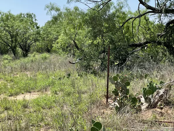 Christine, TX 78012,LOTS 3041-3043 K Avenue