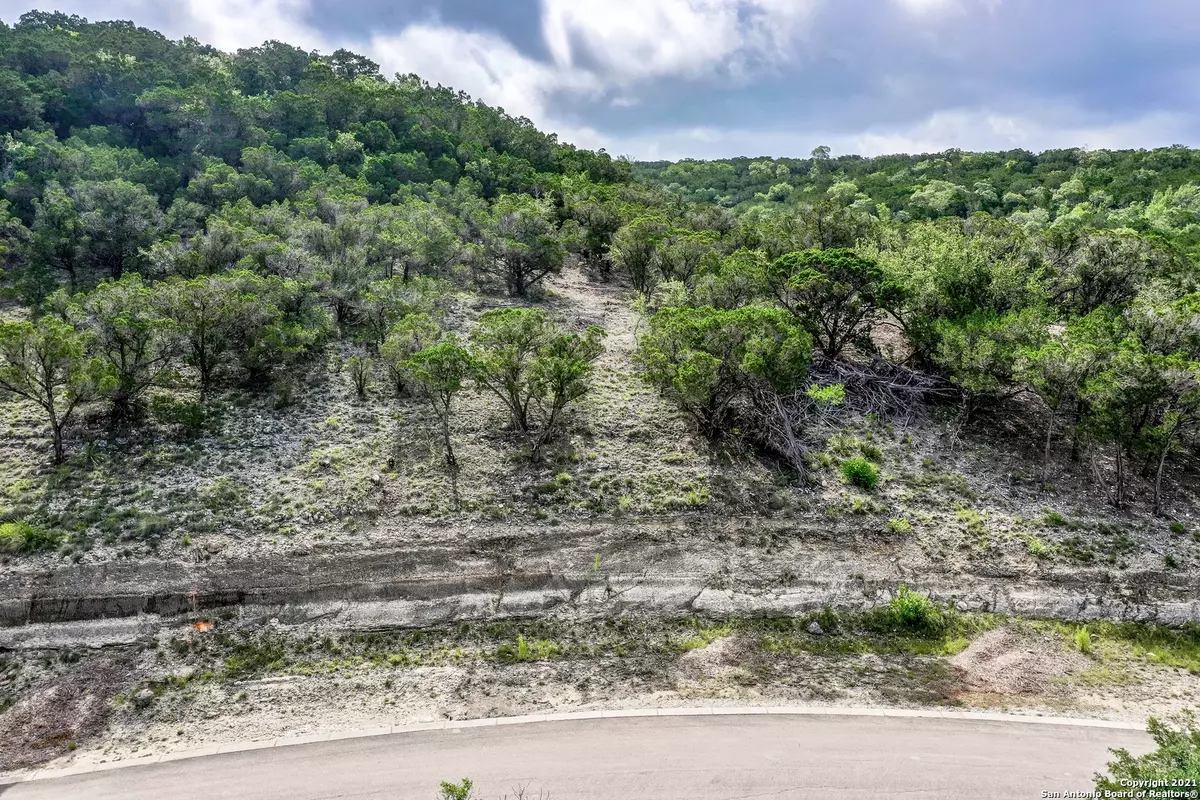 Mico, TX 78056,370 Private Road 1742