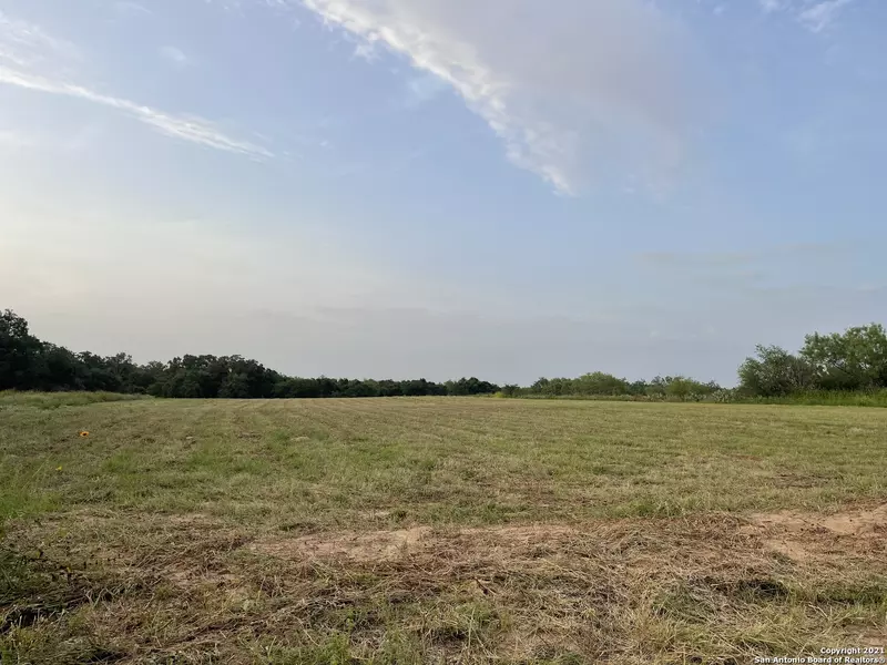 607 CR 768, Devine, TX 78016