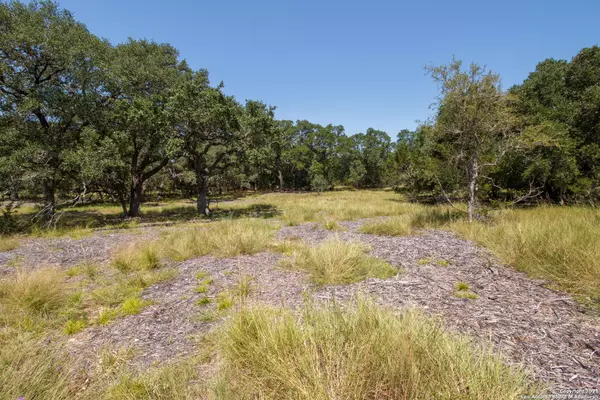 Pipe Creek, TX 78063,7 Rio Lantana