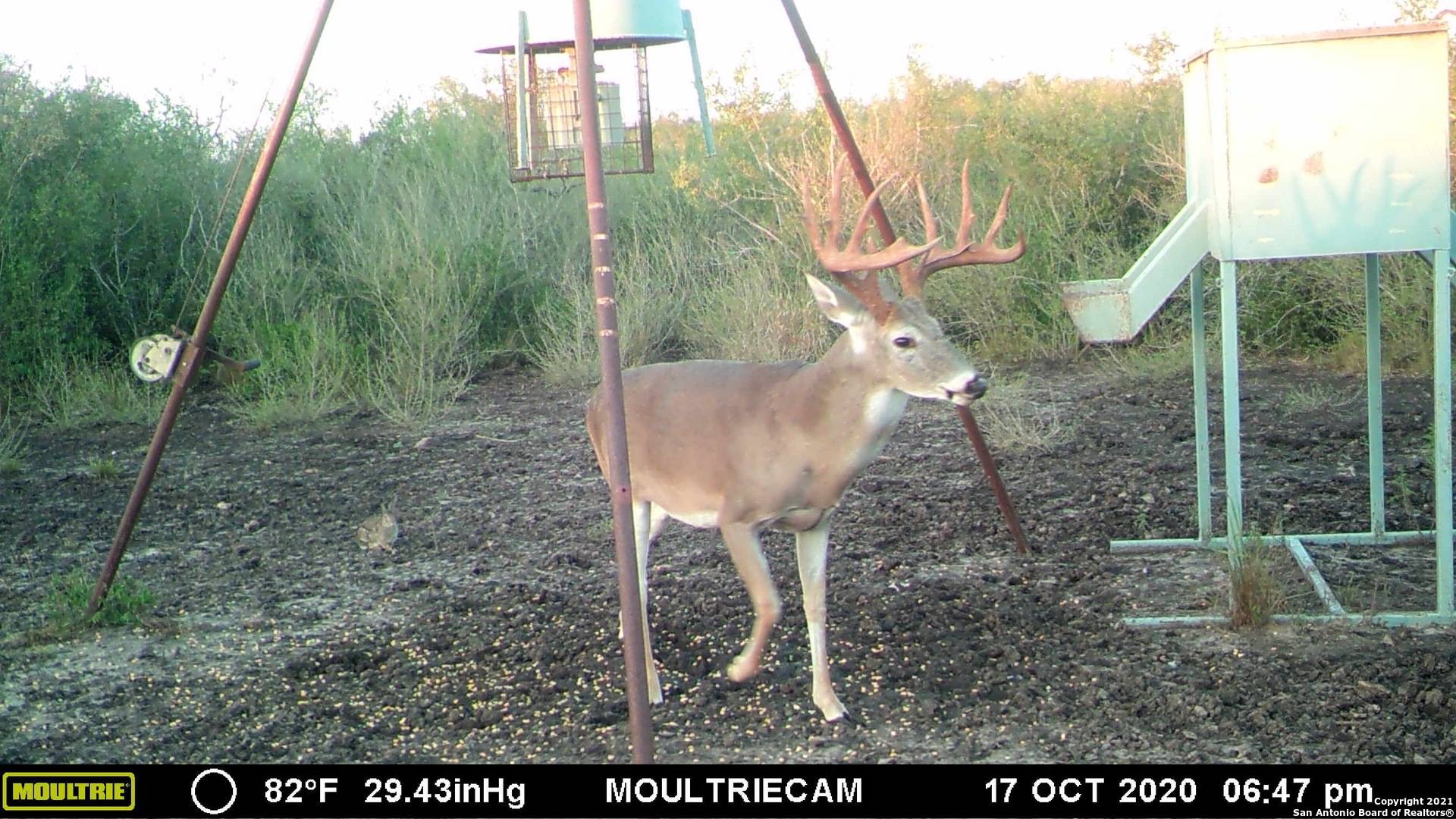 Freer, TX 78357,0000 CR 104