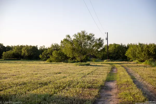 Devine, TX 78016,2530 FM 2200