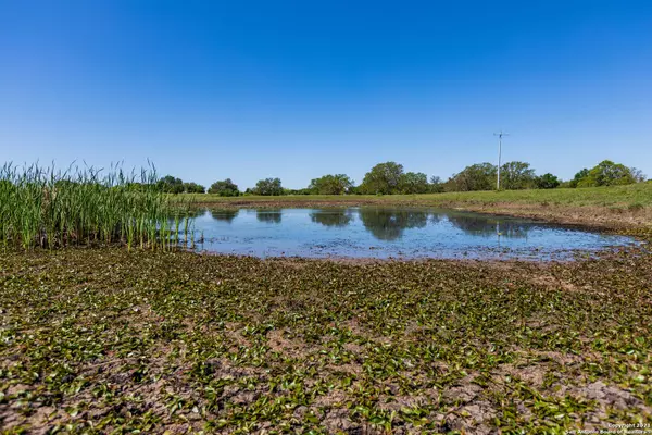 Lockhart, TX 78662,TRACT 7 Taylorsville Rd